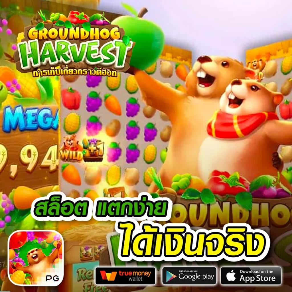 ถุงเงิน คาสิโนครบวงจร ระบบออโต้ ฝาก-ถอน รวดเร็ว